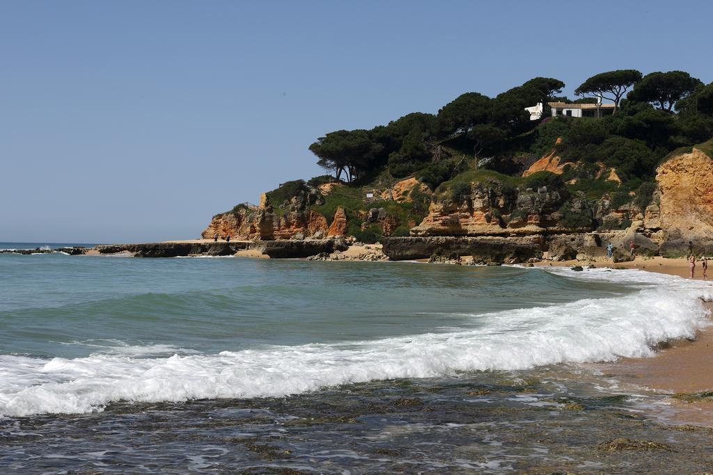 Mira Parque Bed and Breakfast Αλμπουφέιρα Εξωτερικό φωτογραφία