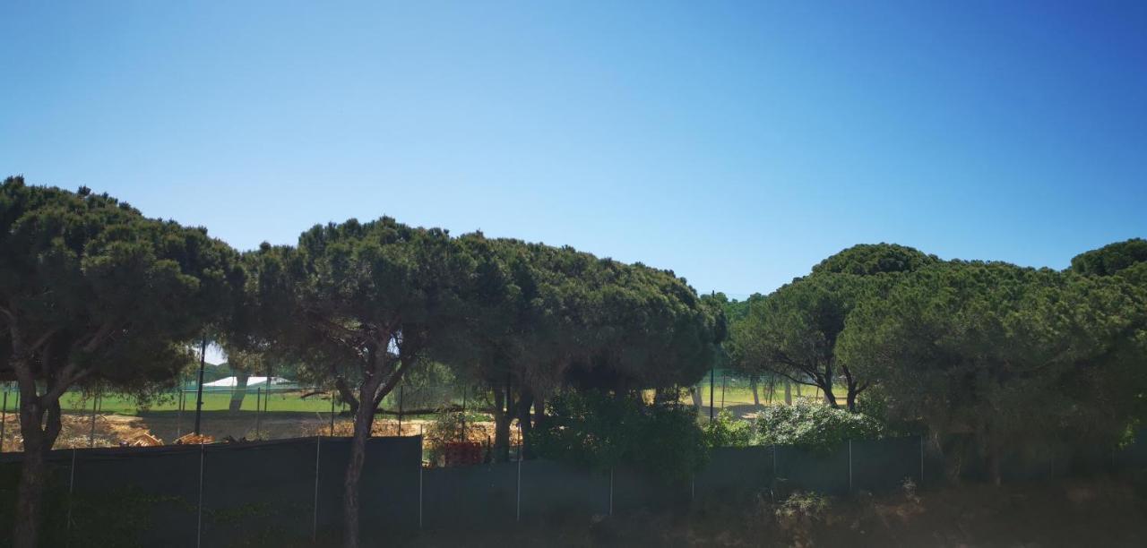 Mira Parque Bed and Breakfast Αλμπουφέιρα Εξωτερικό φωτογραφία