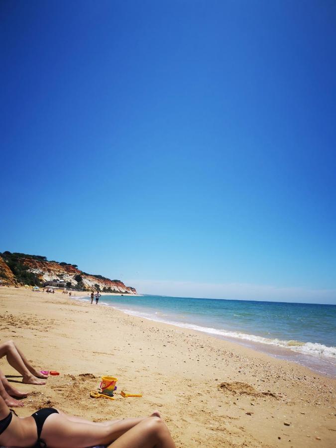 Mira Parque Bed and Breakfast Αλμπουφέιρα Εξωτερικό φωτογραφία